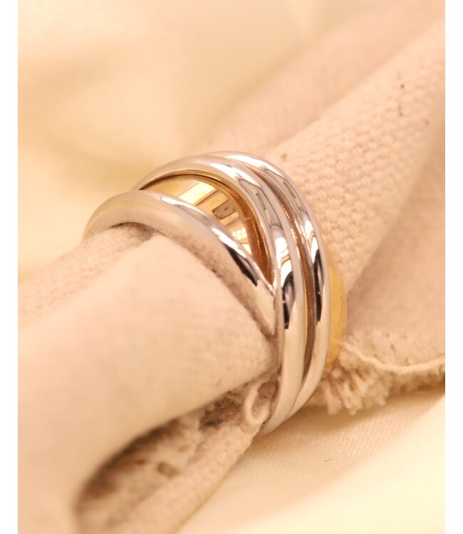 ROEMER Ring 14k geel- & witgoud maat 56