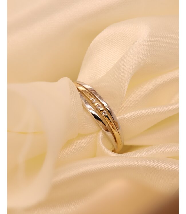 Passinone ring geel/witgoud 14k met 0.03ct G/Si maat 58