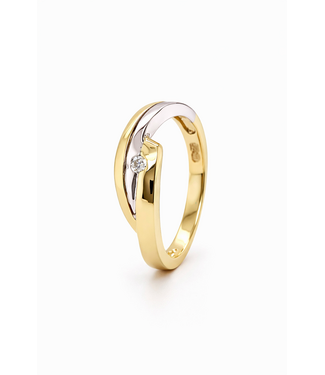 Passione Passione 14K geel- met witgouden ring met diamant 0,03ct 54