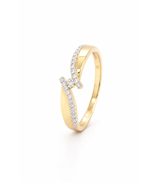 Passione Passione ring goud 14k met diamant 0.14ct maat 53