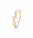 Passione Passione ring goud 14k met diamant 0.14ct maat 53