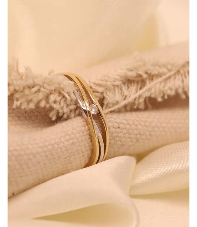 Passione ring geel/witgoud 14k met 0.03ct diamant maat 56