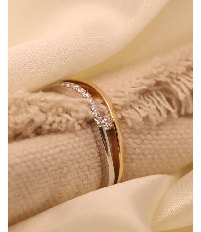 Passione ring geel/witgoud 14k met 0.13ct G/Si maat 55