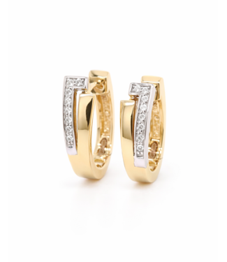 Passione Passione oorringen geel/witgoud 14k met 0.07ct diamant