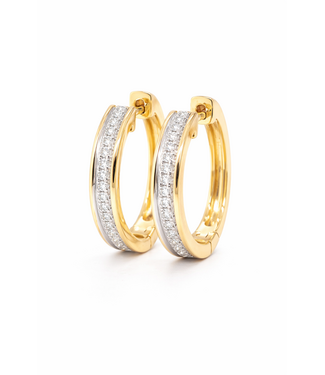 Passione Passione 14k geelgouden oorringen met diamant 0,14ct