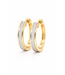 Passione Passione 14k geelgouden oorringen met diamant 0,14ct