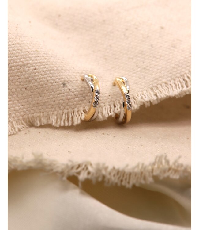 Passione 14K geel- met witgouden oorringen met diamant 0,06ct