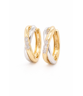 Passione Passione 14K geel- met witgouden oorringen met diamant 0,06ct