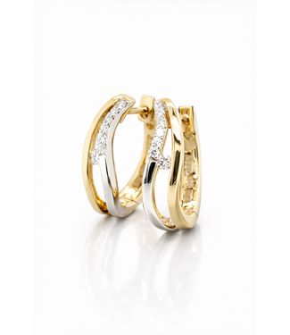 Passione Passione oorringen geel/witgoud 14k met 0.13ct. diamant