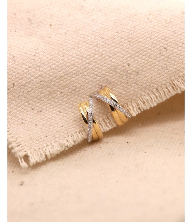 Passione oorringen geel/witgoud 14k met 0.09ct diamant