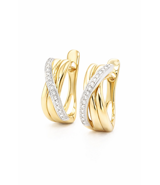 Passione Passione oorringen geel/witgoud 14k met 0.09ct diamant