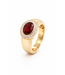Passione 14K geelgouden ring met diamant 0,16ct en granaat 55