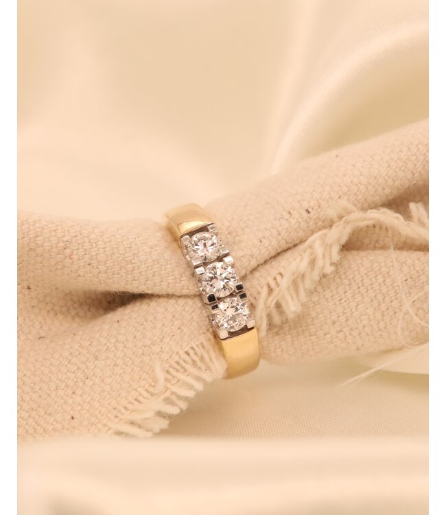 Passione 14K geel- met witgouden ring met diamant 0,75ct 54