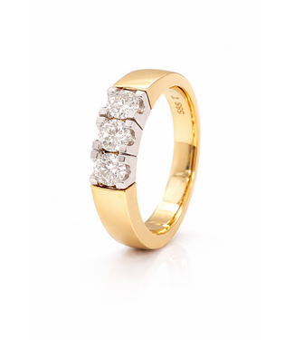 Passione Passione 14K geel- met witgouden ring met diamant 0,75ct 54