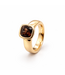 Positano Positano Ring 18 kt. goud met Rookwarts