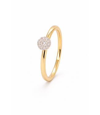 Passione Passione 14K geelgouden ring met diamant 0,13ct 53