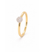 Passione Passione 14K geelgouden ring met diamant 0,13ct 53