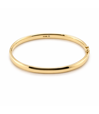 ROEMER ROEMER 14k geelgouden bangle met zilveren kern 6mm x 61mm