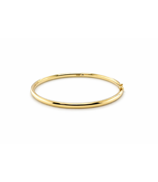 ROEMER ROEMER Bangle goud met zilveren kern 4mm x 56mm