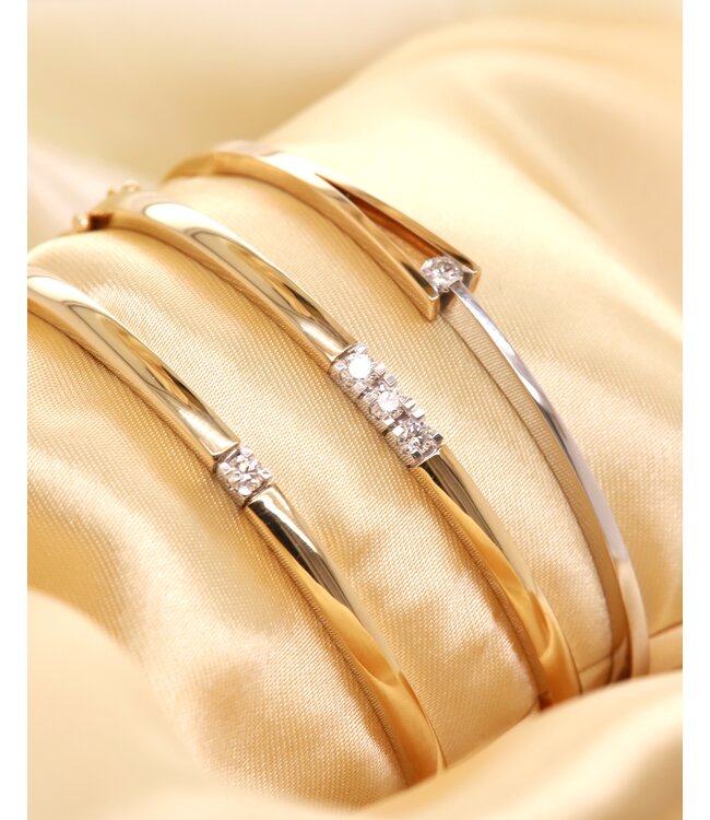 Roemer Armband14k wit- en geelgoud met diamant 0.15ct TW Vs