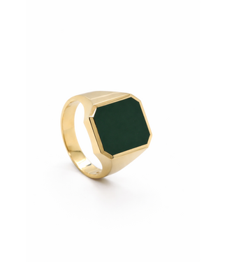 Herenring goud 14k met Jaspis model 601