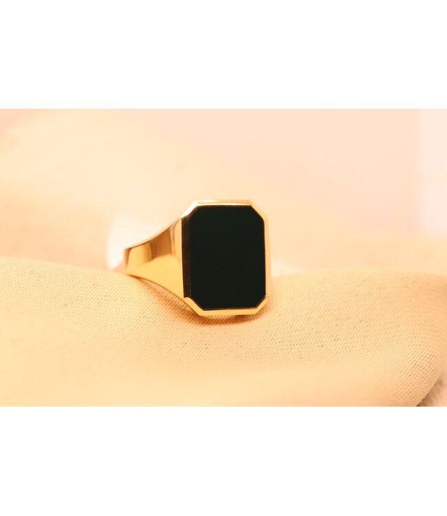 Herenring goud 14k met Jaspis model 601