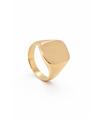 Herenring goud 14k met  cachet 16 x 13 model P11