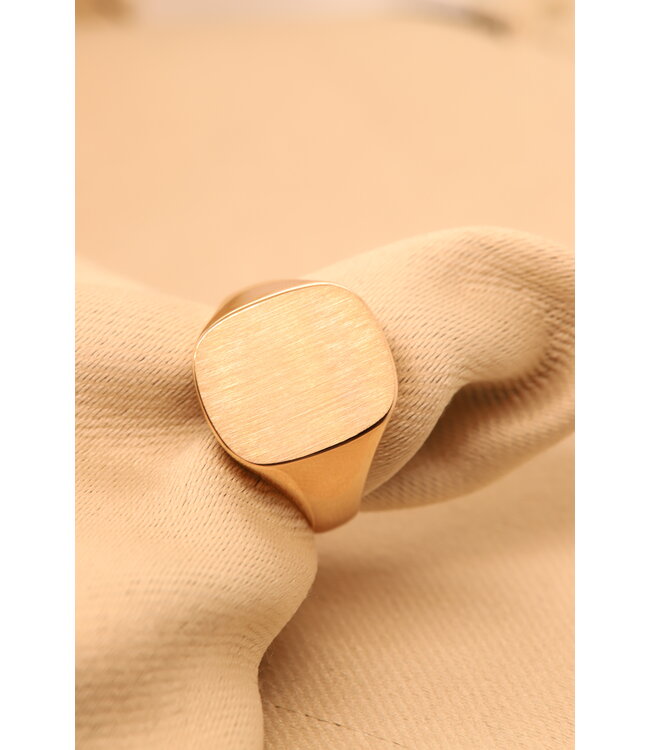 Herenring goud 14k met  cachet 16 x 13 model P11