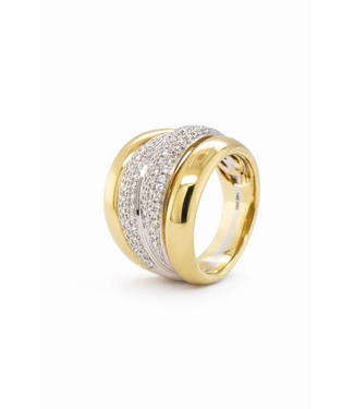 Passione Passione ring goud 14k met diamant 0.77ct Si/G maat 55