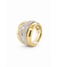 Passione Passione ring goud 14k met diamant 0.77ct Si/G maat 55