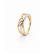 Passione Passione Ring geel/witgoud 14k met diamant 0.08ct H Si maat 56