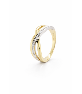 Passione Passione Ring Geelgoud 14k 0.13ct 56