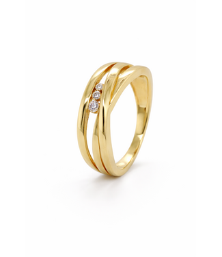 Passione Passione Ring geelgoud 14k met diamant 0.08ct H Si