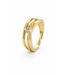 Passione Passione Ring geelgoud 14k met diamant 0.08ct H Si