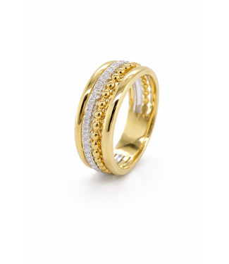 Passione Passione Combiring goud 14k met diamant 0.17ct Si/H maat 56