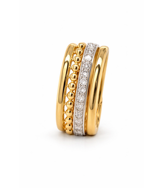 Passione Passione Hanger geel- en witgoud 14k met diamant 0.12ct H Si