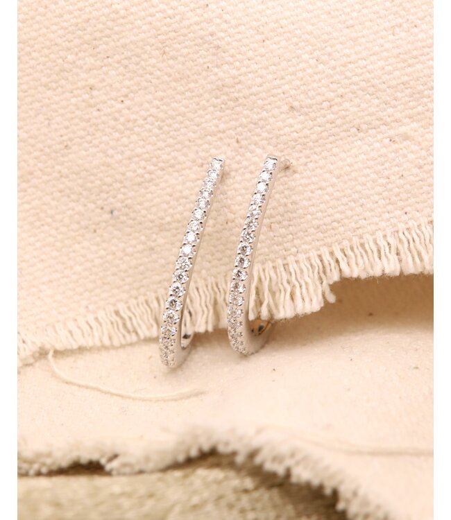 Passione Oorringen witgoud 14k met diamant 0.50ct