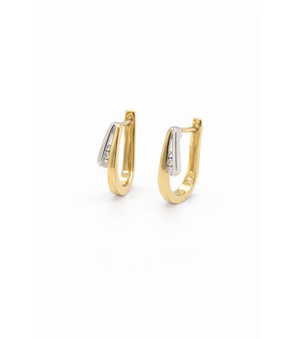 Passione Passione Oorringen geel/witgoud 14k 0.06ct H Si