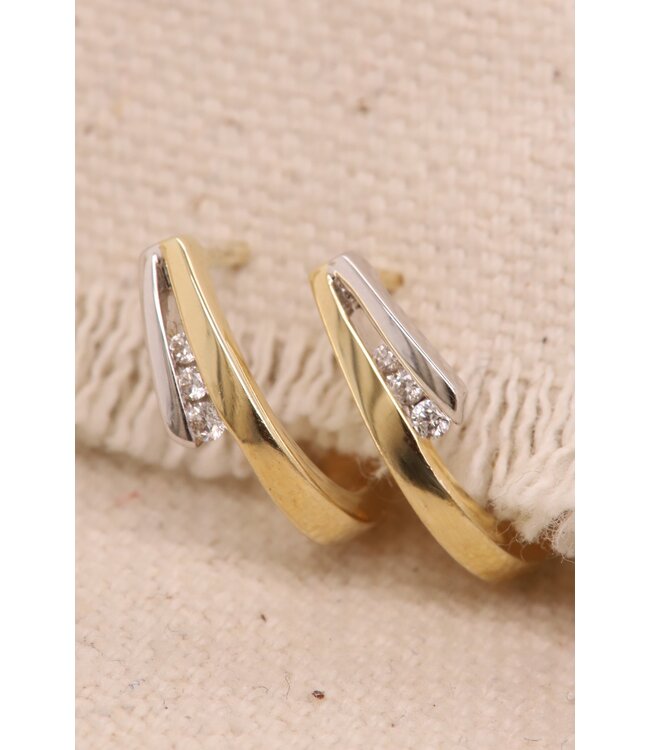 Passione Oorringen geel/witgoud 14k 0.06ct H Si