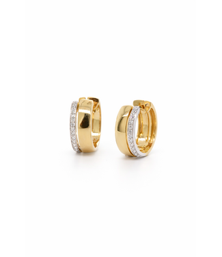 Passione Passione oorringen geel/witgoud met diamant 0.09ct H Si