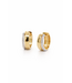 Passione oorringen geel/witgoud met diamant 0.09ct H Si