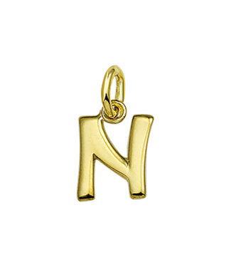 14 karaat gouden letter N
