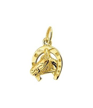 14 kt geelgouden hanger paardenhoofd 4001868