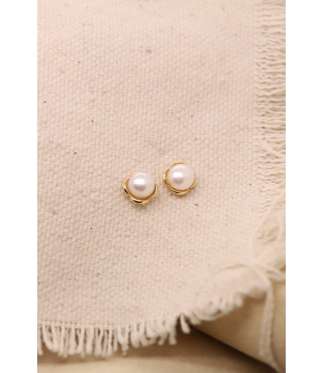 Roemer oorknoppen 14k goud met Parel