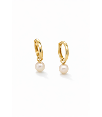 ROEMER ROEMER Oorhangers geelgoud Parel 6mm