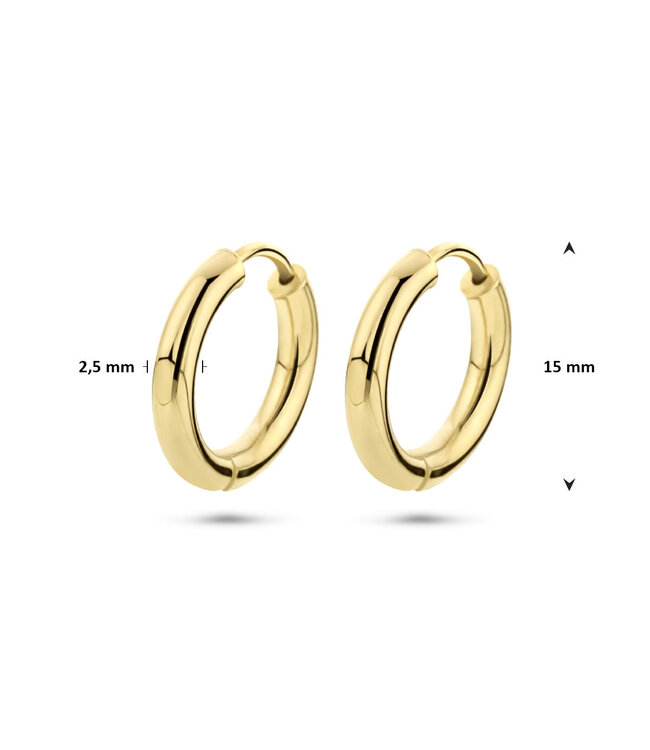 ROEMER 14K geelgouden oorringen 15x 2.5mm