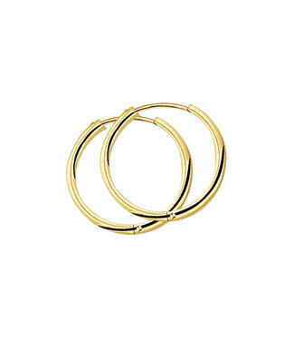 ROEMER ROEMER 14K geelgouden oorringen 25x 2.5mm