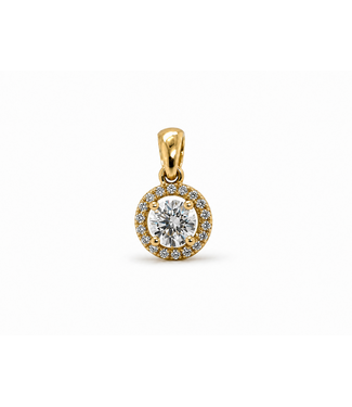 ROEMER ROEMER Hanger 18k geelgoud met diamant 0.20ct