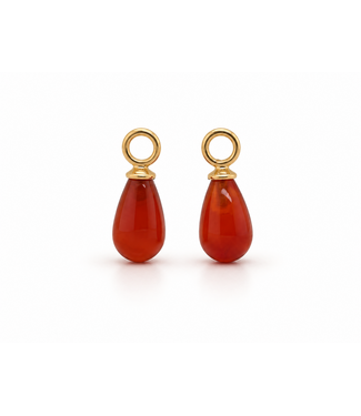 ROEMER by Bregje ROEMER by Bregje oorbelhangers 14k geelgoud met Carneool
