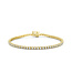 Tomylo Tomylo tennisarmband goud 14k & labgrown diamant 3.00ct Si/G 17.5cm